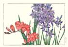 10 photo10_small.jpg